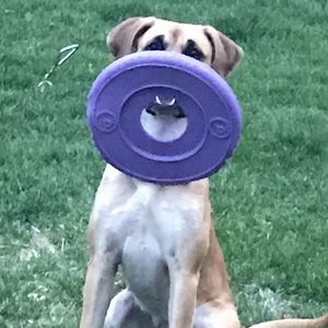 Meet your Posher, Jason